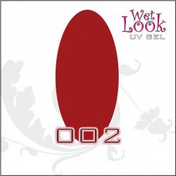 Gel Color Wet Look 5g #002